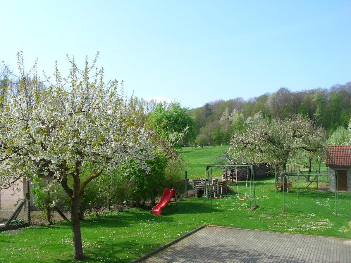 Gasthof Zur Frohen Einkehr Reichardsroth Esterno foto